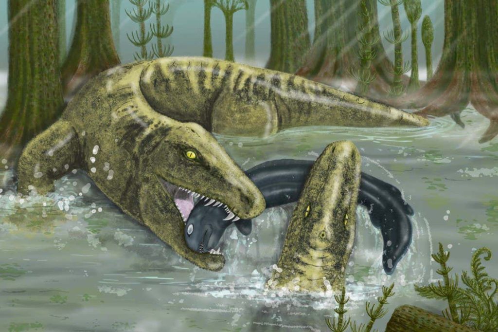 Ancient predator was one of first vertebrates to grow fast