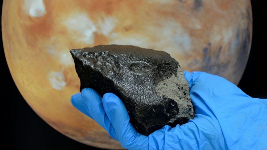 Mars meteorite that crashed to Earth contains ‘huge diversity’ of