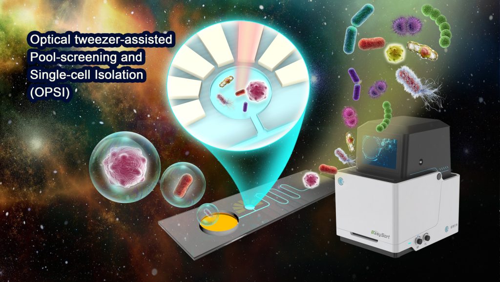 Optical ‘tweezer’ enables fast, low-cost screening of bacteria and cancer