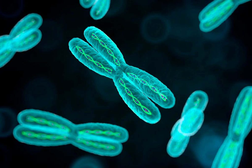 Modern humans evolved a ‘selfish’ X chromosome after Africa exodus