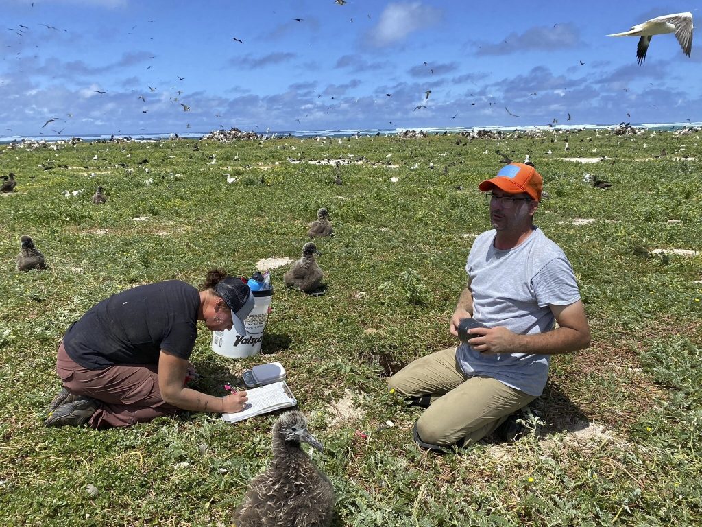 Moving species emerges as last resort as climate warms