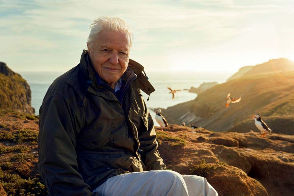 Wild Isles review: David Attenborough turns focus to UK and