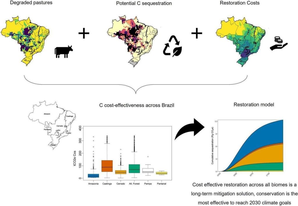 Dry forests and savannas vital for Brazil’s climate goals