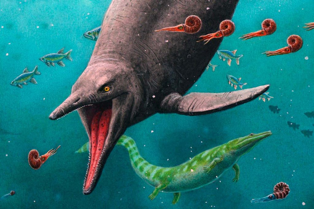 Oldest ichthyosaur fossil hints they evolved before mass extinction