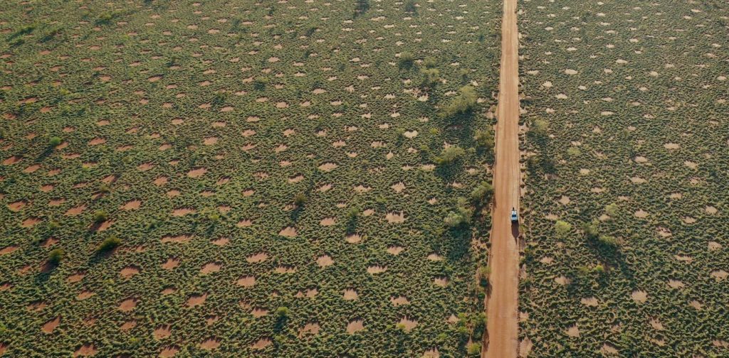 First Peoples’ knowledge of ‘mysterious fairy circles’ in Australian deserts