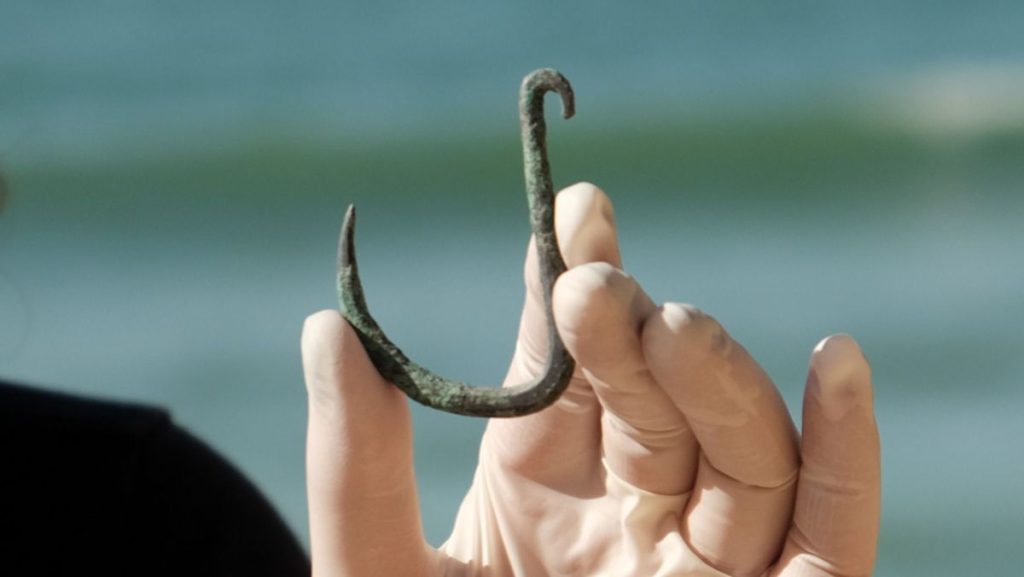 Ancient fish hook suggests sharks were hunted off Israel’s coast