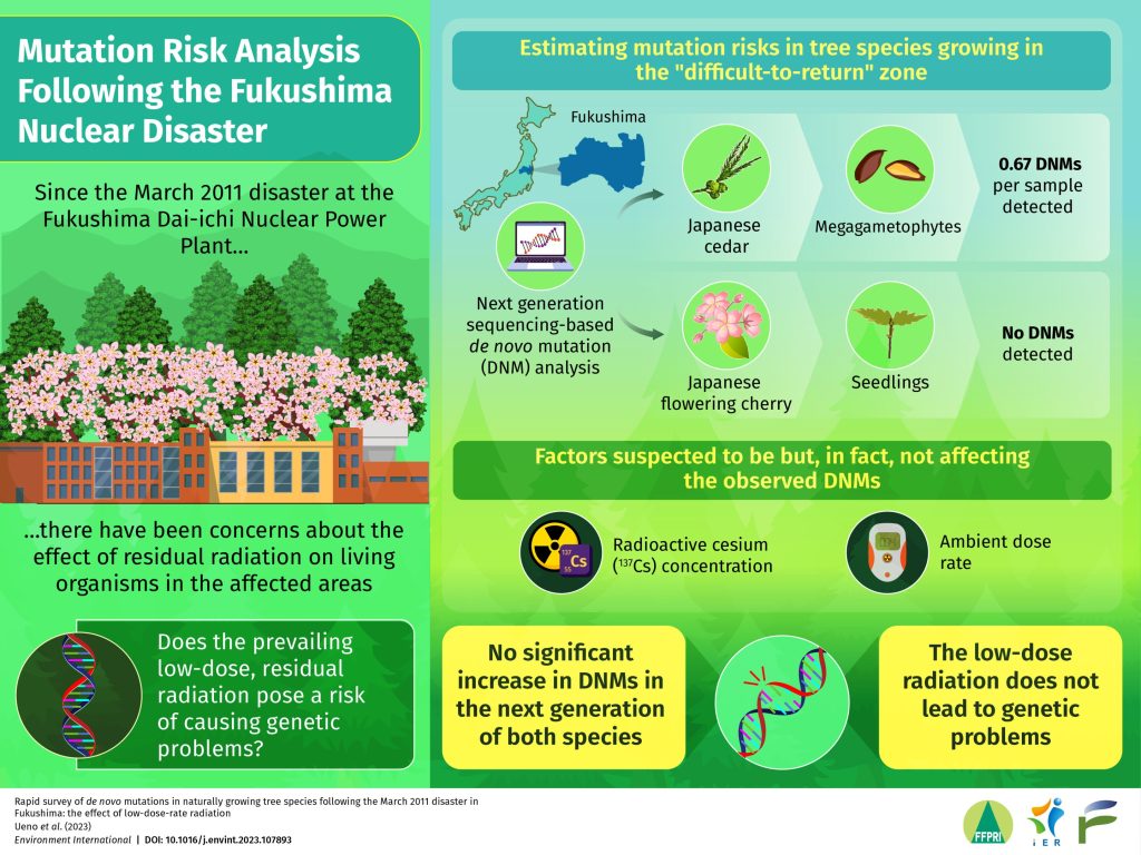 Study assesses risk of mutation due to residual radiation from