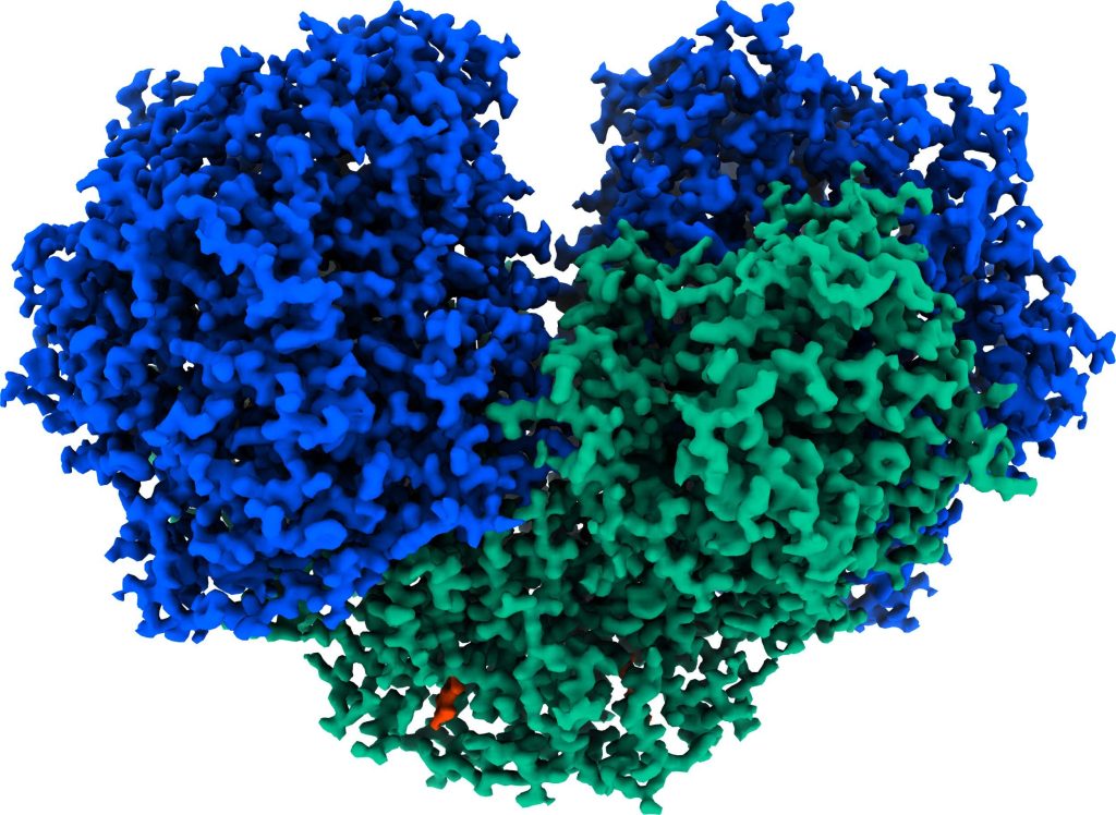 Soil bacteria enzyme generates electricity from hydrogen in the air