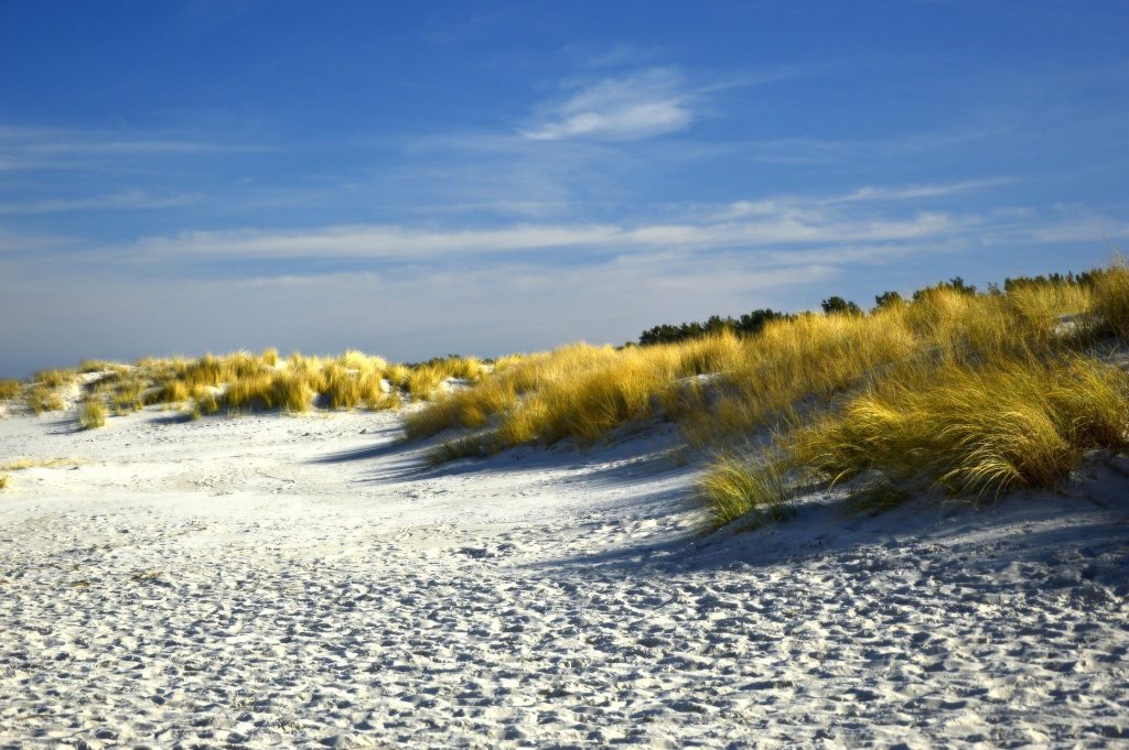 Sand dunes offer clues to coastal erosion and how to