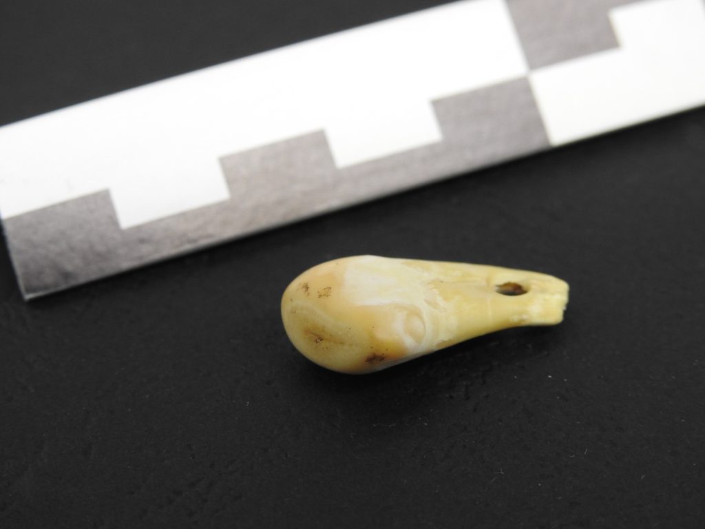 Scientists recover an ancient woman’s DNA from a 20,000-year-old pendant