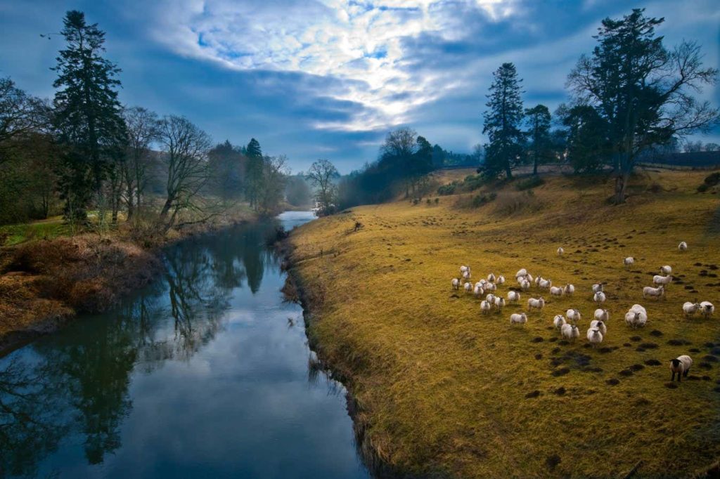 Farming destroyed UK rivers to meet food demand – here’s