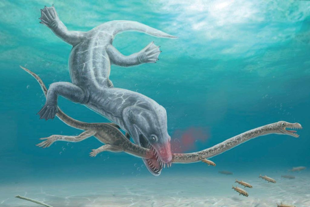 Ancient reptiles’ long necks made them vulnerable to decapitation