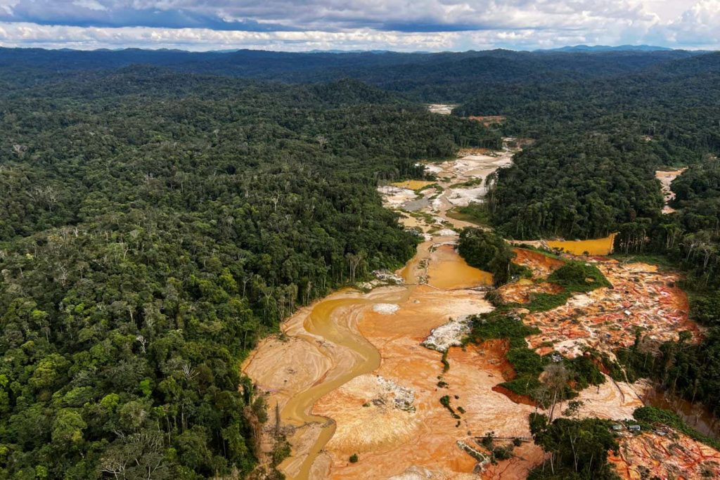 Amazon deforestation has begun to slow since Lula took over