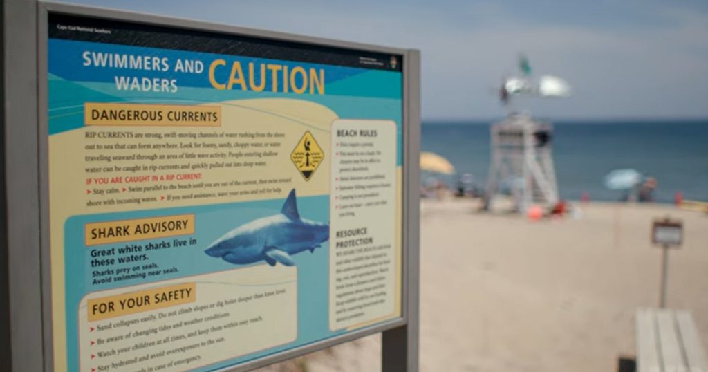 A Community Reels From A Fatal Shark Attack in HBO’s