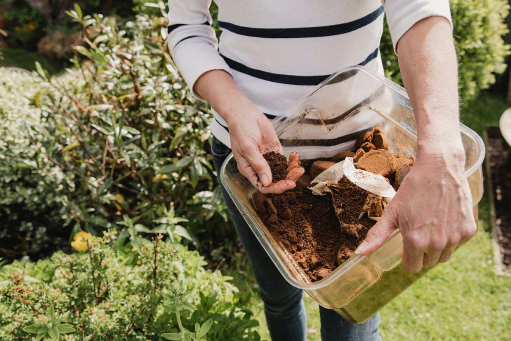 Why used coffee grounds may be doing your plants more