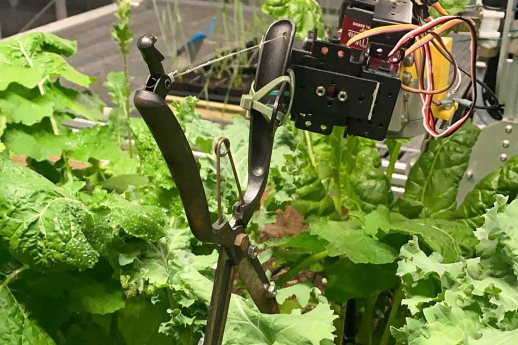 Robot gardener grows plants as well as humans do but