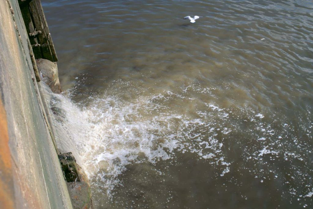 Raw sewage floods UK rivers with faecal bacteria after heavy