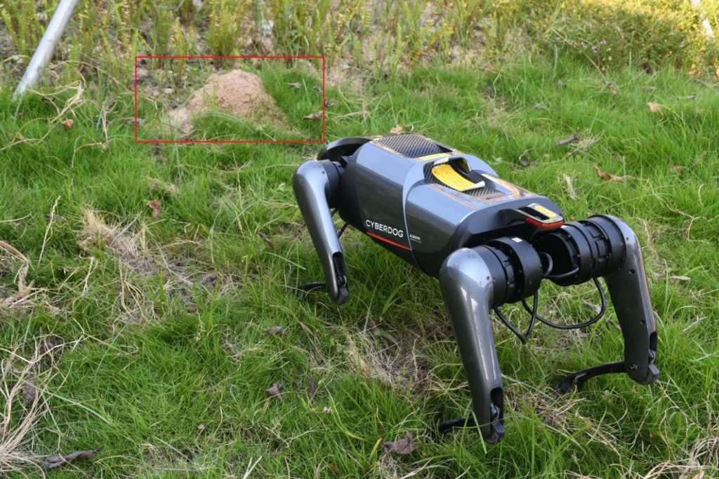 Robotic dog spots invasive fire ant nests better than humans