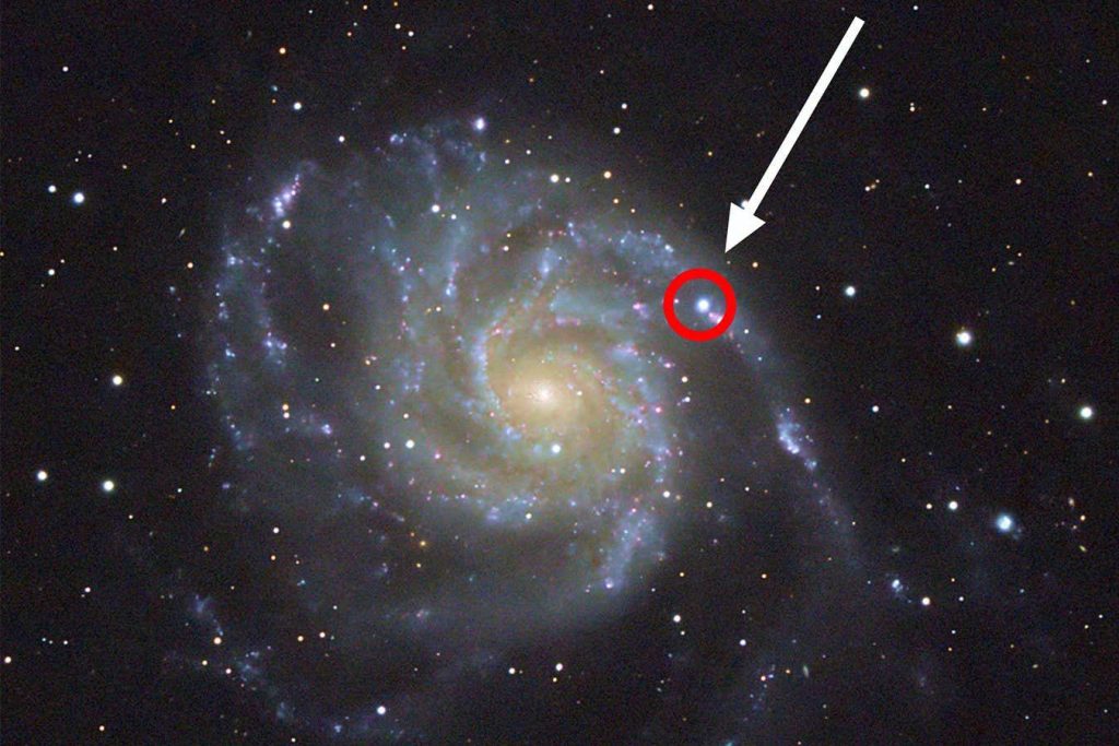 Astronomers are using a new supernova to search for alien