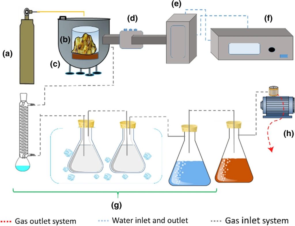 Building a high-performance electrochemical sensor using activated biochar from pineapple