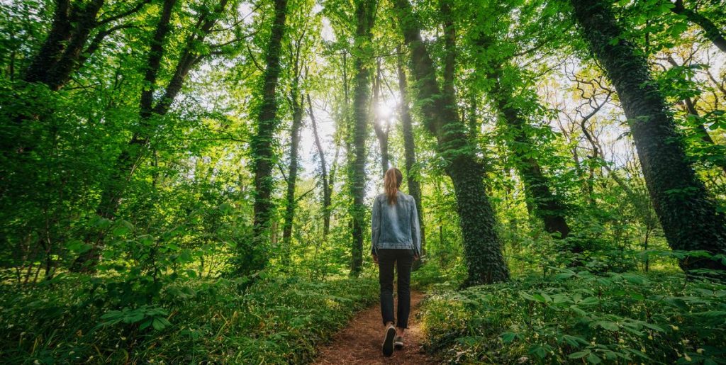 What If Therapy Could Be a Walk in the Woods?