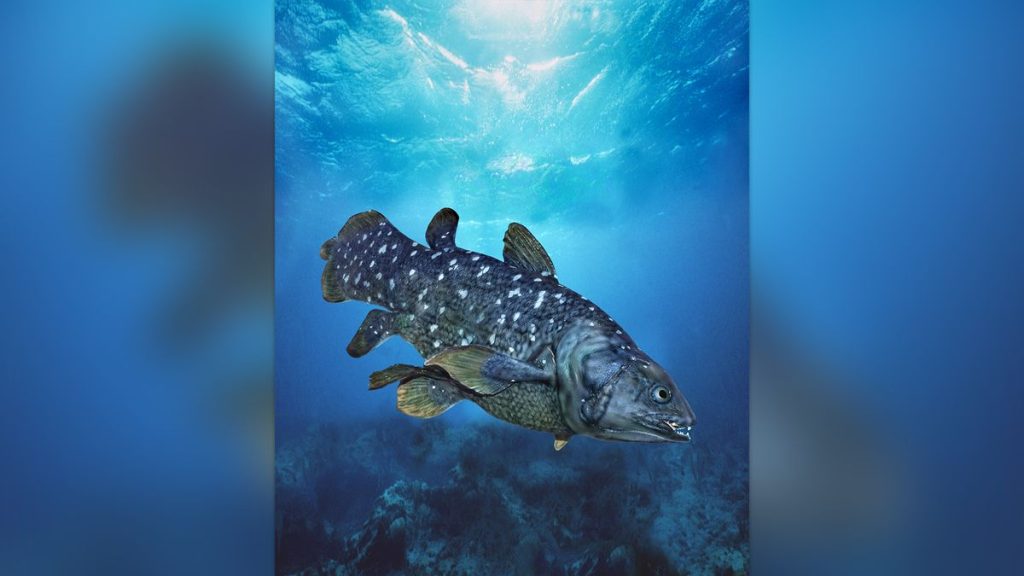 West Indian Ocean coelacanth: The once-‘extinct’ Lazarus fish that can