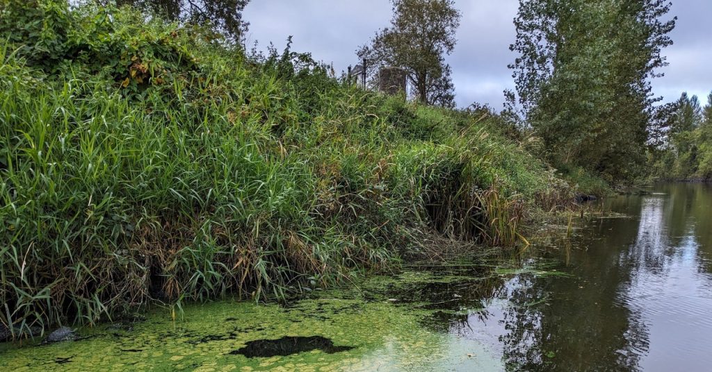 Rivers Are Drowning in Toxic Sludge