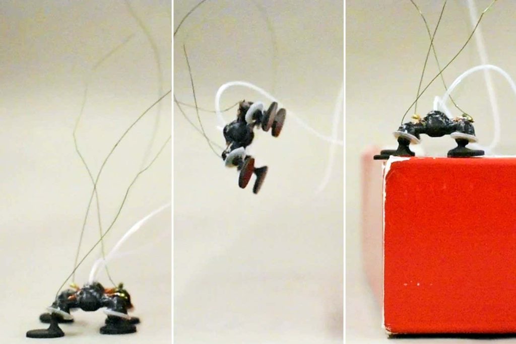 Watch a frog-like robot use tiny explosions to hop around