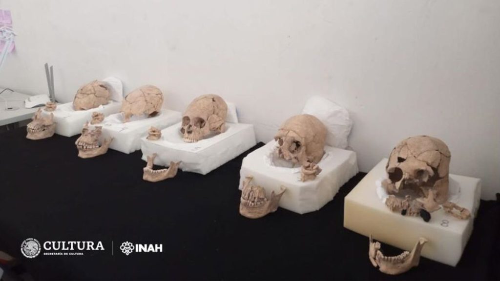 Deformed skulls and ritual beheadings found at Maya pyramid in