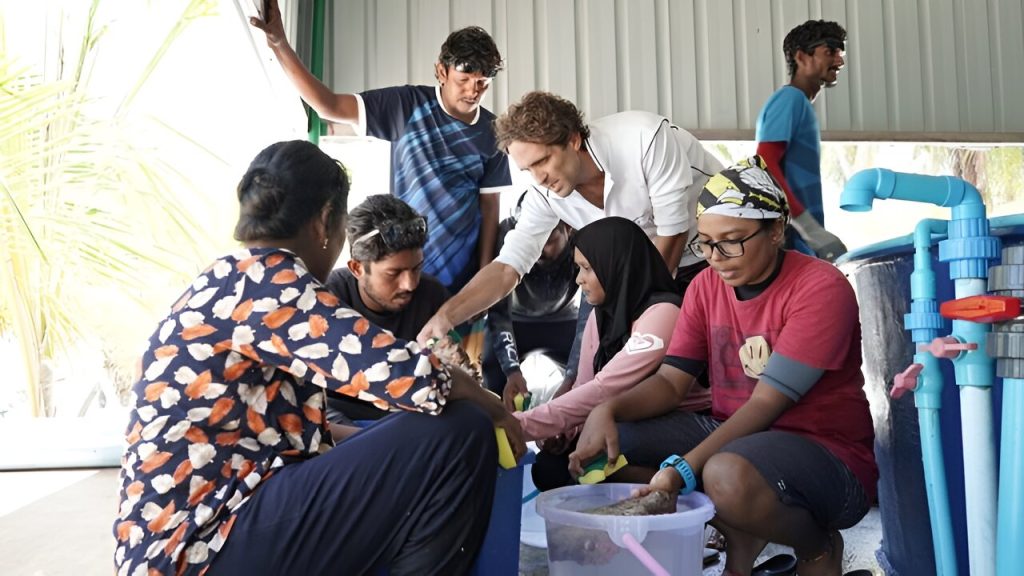 From larvae to livelihoods: Restoring coral reefs in the Maldives