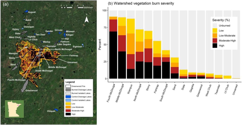 Wildfires contribute to nutrient-rich, murky water in lakes