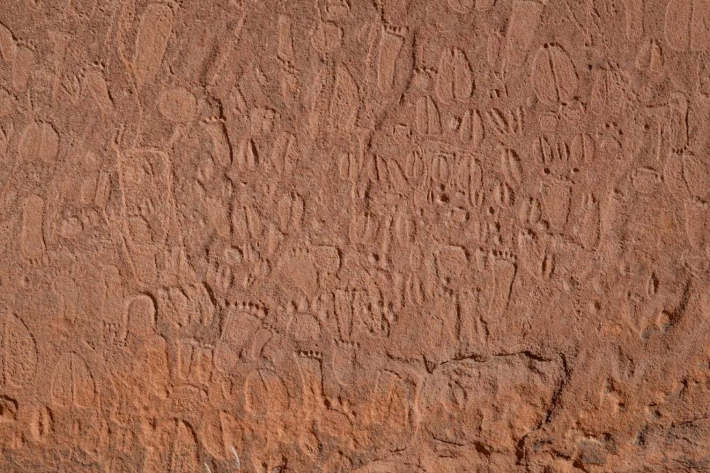 Stone Age carvings of animal footprints identified by expert trackers