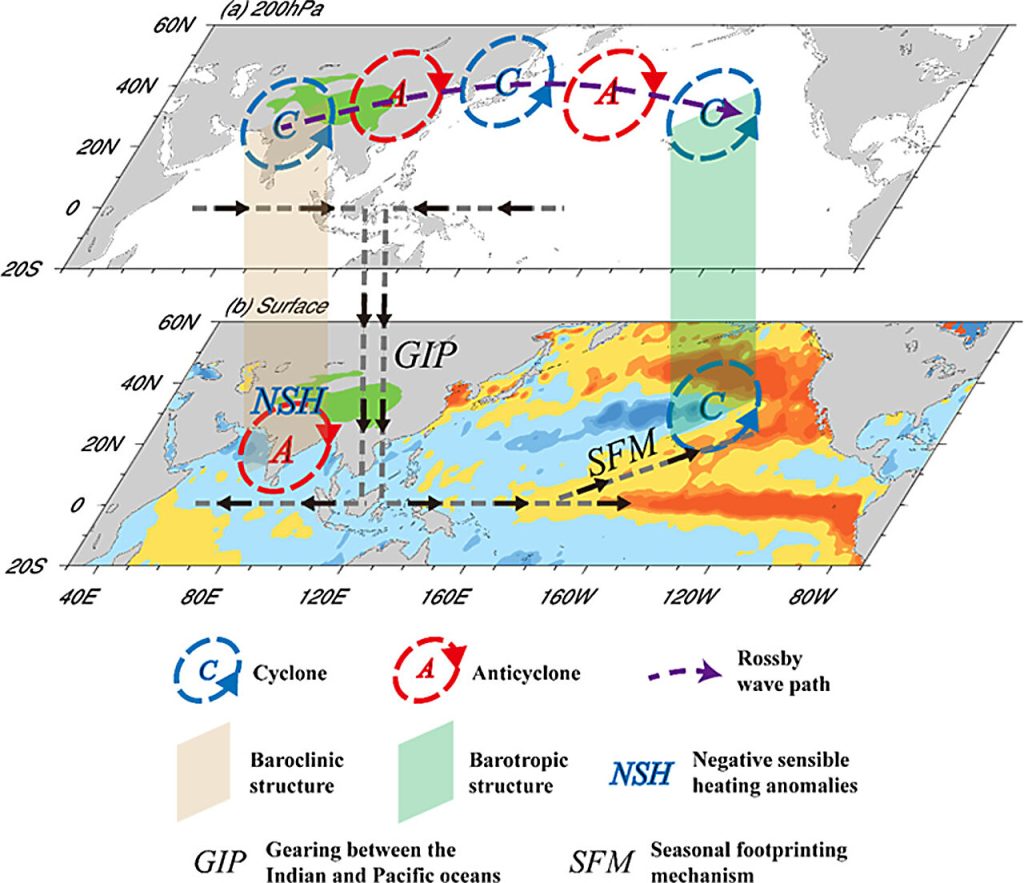 The Tibetan Plateau bridge: Remote climate effects of extratropical and