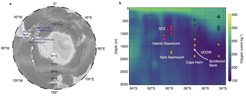 Deep-sea coral evidence found for enhanced subglacial discharge from Antarctica