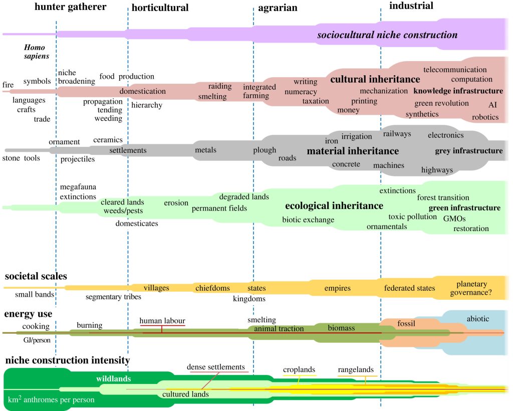 The Anthropocene condition: Evolving through social–ecological transformations