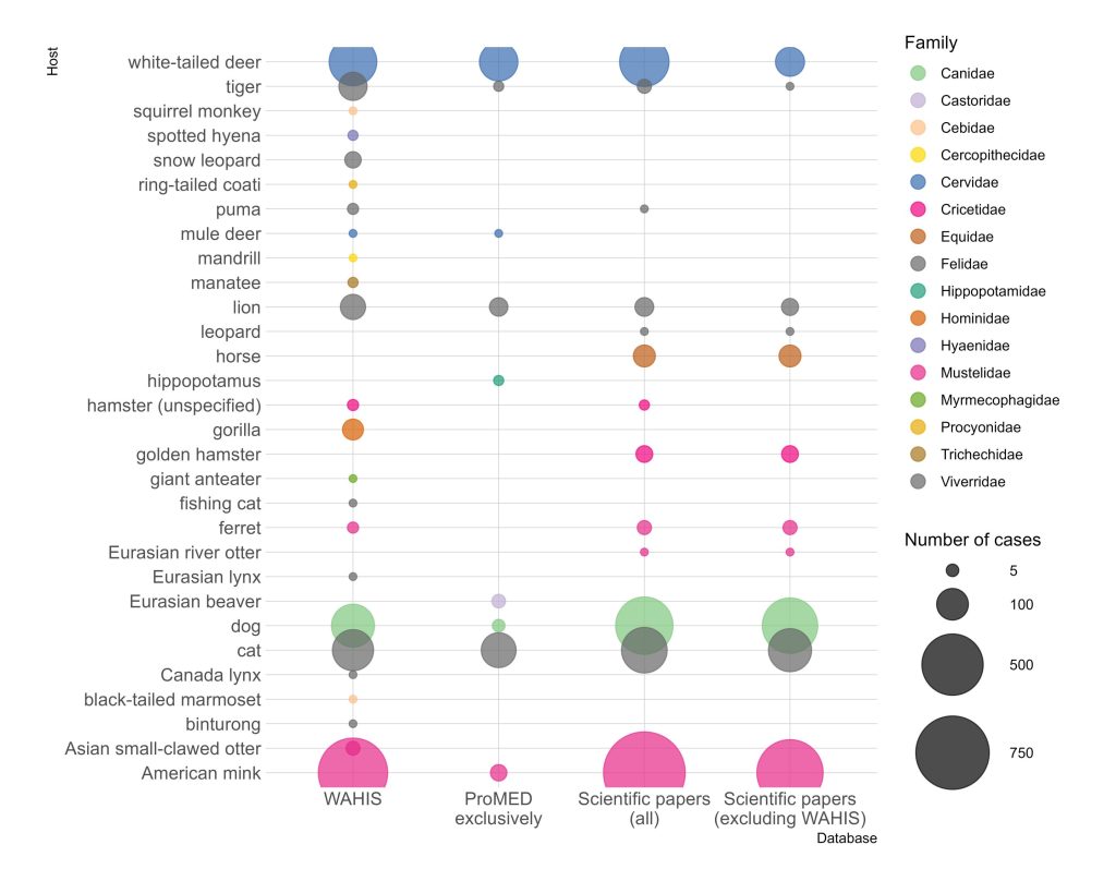 Research highlights data gap in SARS-CoV-2 cases in animals