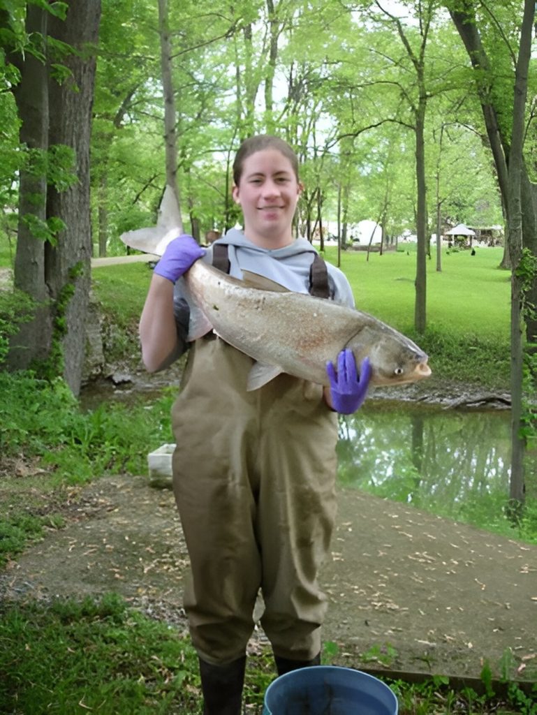 Invasive carp continue to be an ongoing threat to South