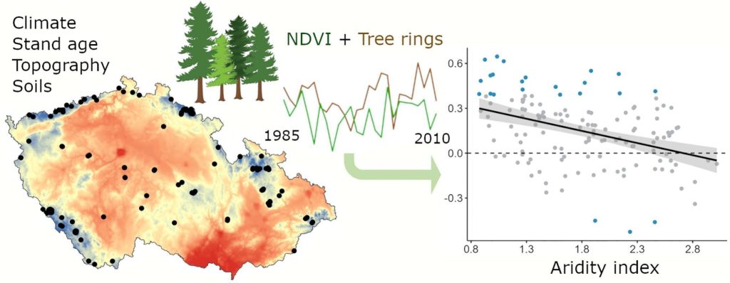 New insights into climate response of coniferous forest ecosystems