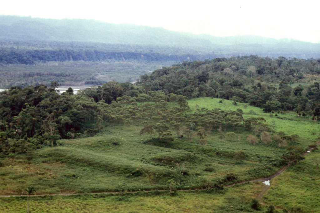 Ancient Amazon Civilization Developed Unique Form of ‘Garden Urbanism’