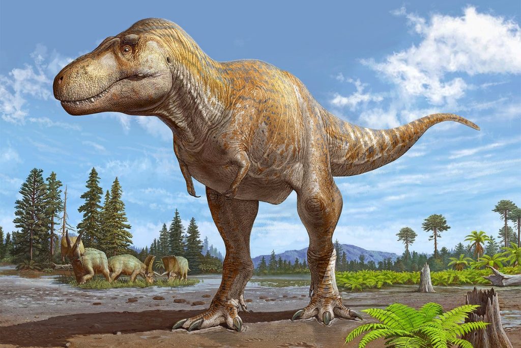 Enigmatic Dinosaur Skull Sparks Debate over Tyrannosaur Evolution