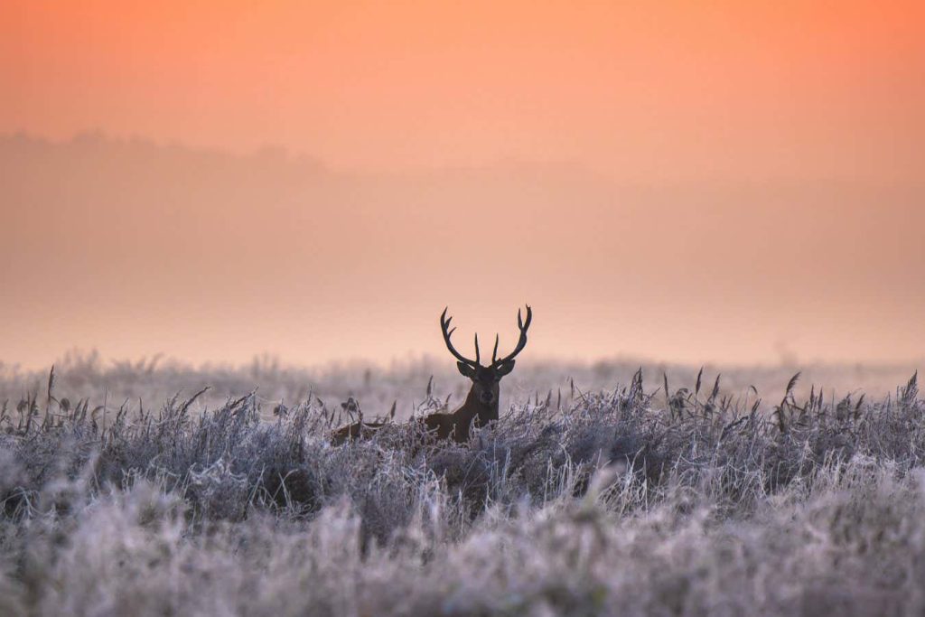 The science of why spending time in nature is just