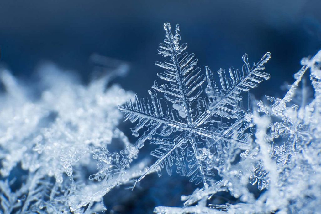 Snowflakes fall to the ground according to a universal pattern