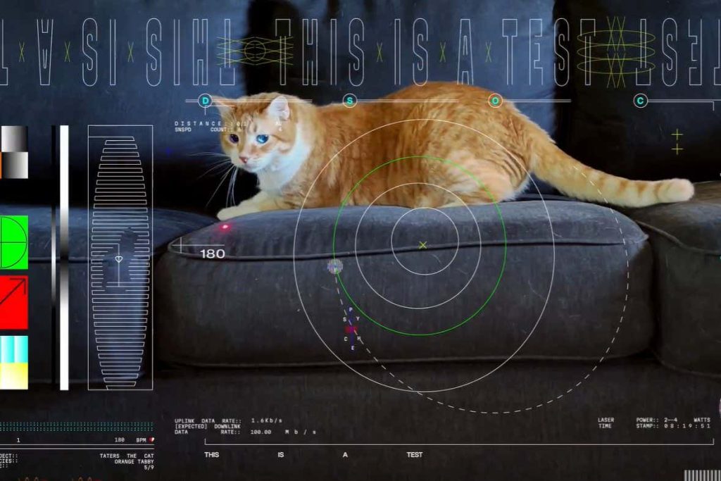 NASA sends cat video 31 million kilometres through space