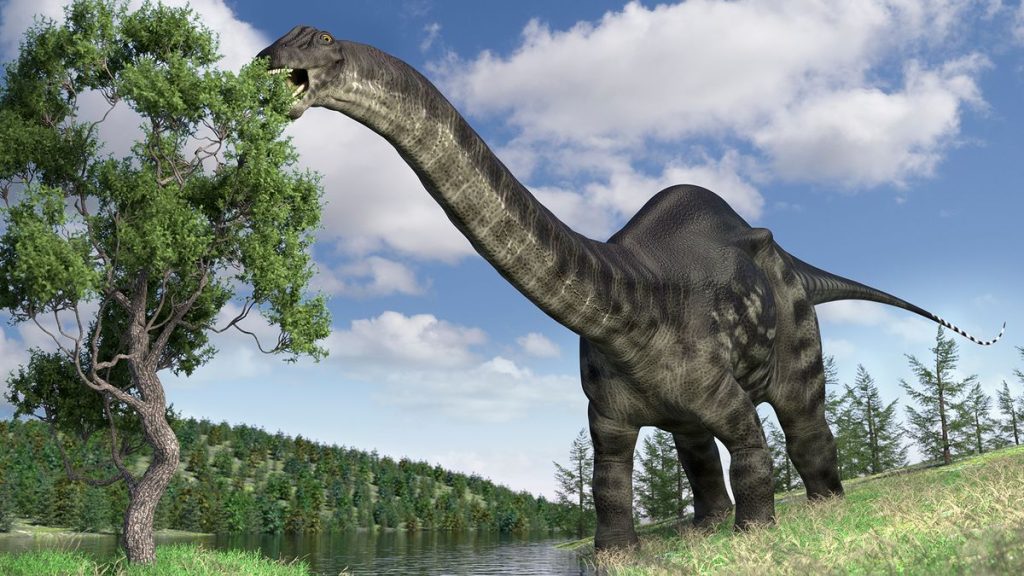 Why was the name ‘Brontosaurus’ brought back from the dead?