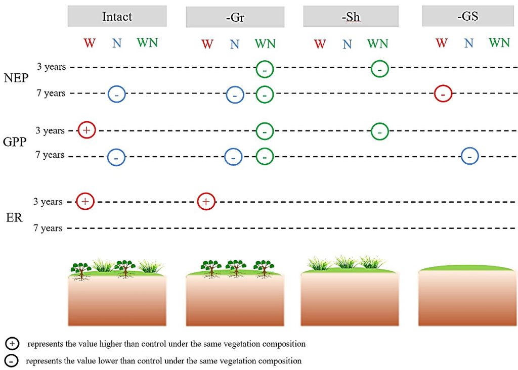 Study shows effects of vegetation composition, warming and nitrogen deposition