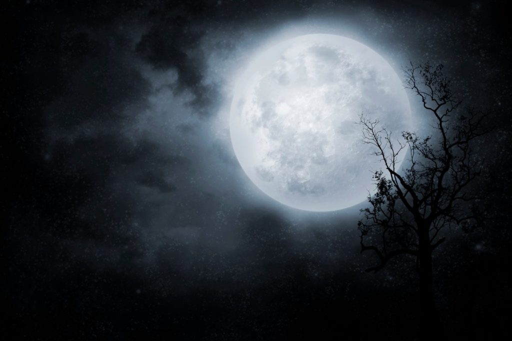 How String Theory Solved Math’s Monstrous Moonshine Problem