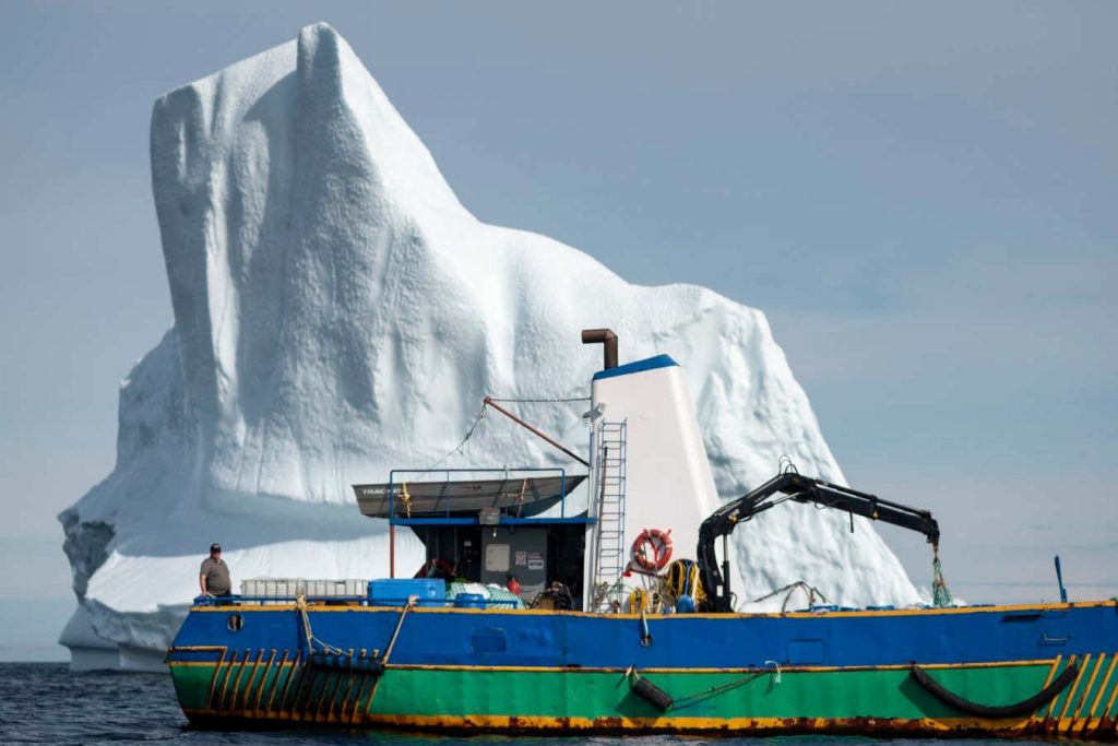 Arctic cowboys: Meet the people wrangling icebergs for drinking water