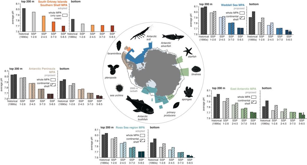 Acidity of Antarctic waters could double by century’s end, threatening