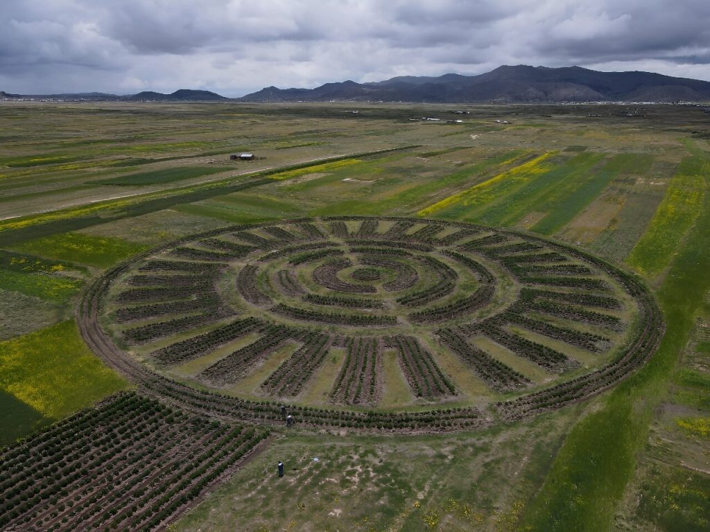 Andean farmers use age-old technique amid climate change