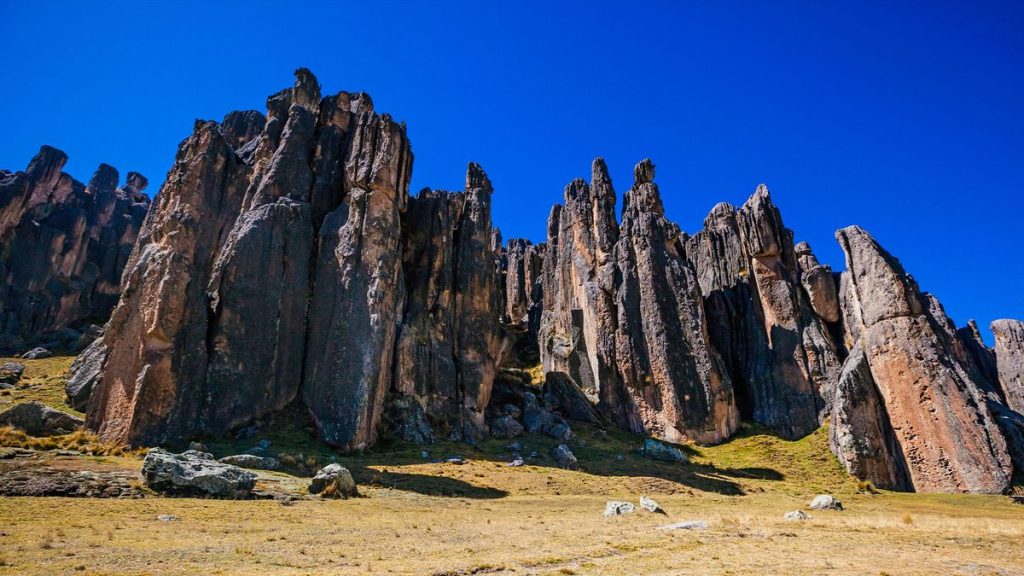 Gene mutation helps Andean highlanders thrive at altitude, and ‘living